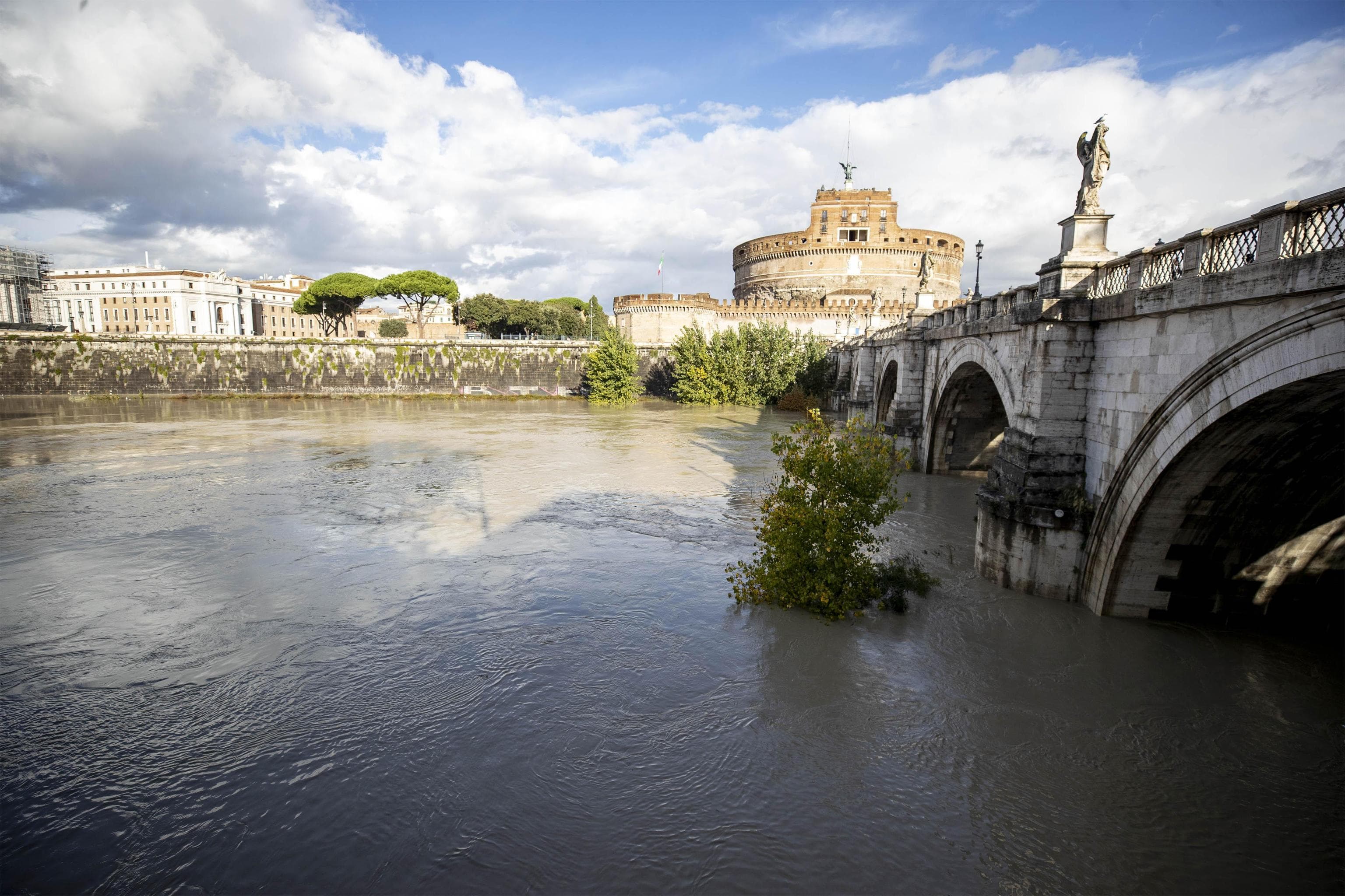 RIVRINASCITA_20260612155325533_904f58dba27db677d74ab9f1dedab127.jpg