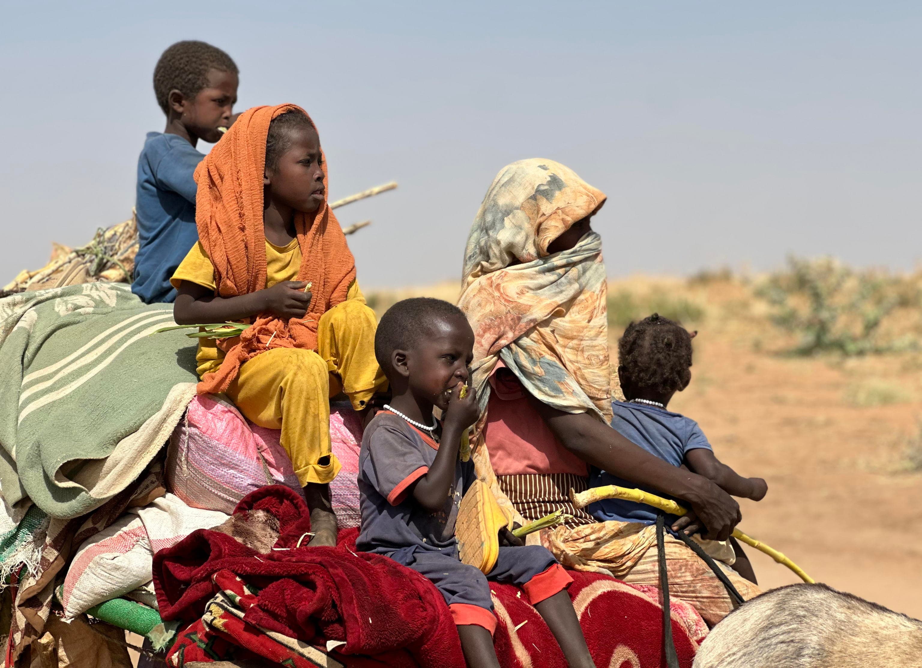 Sudan.jpg