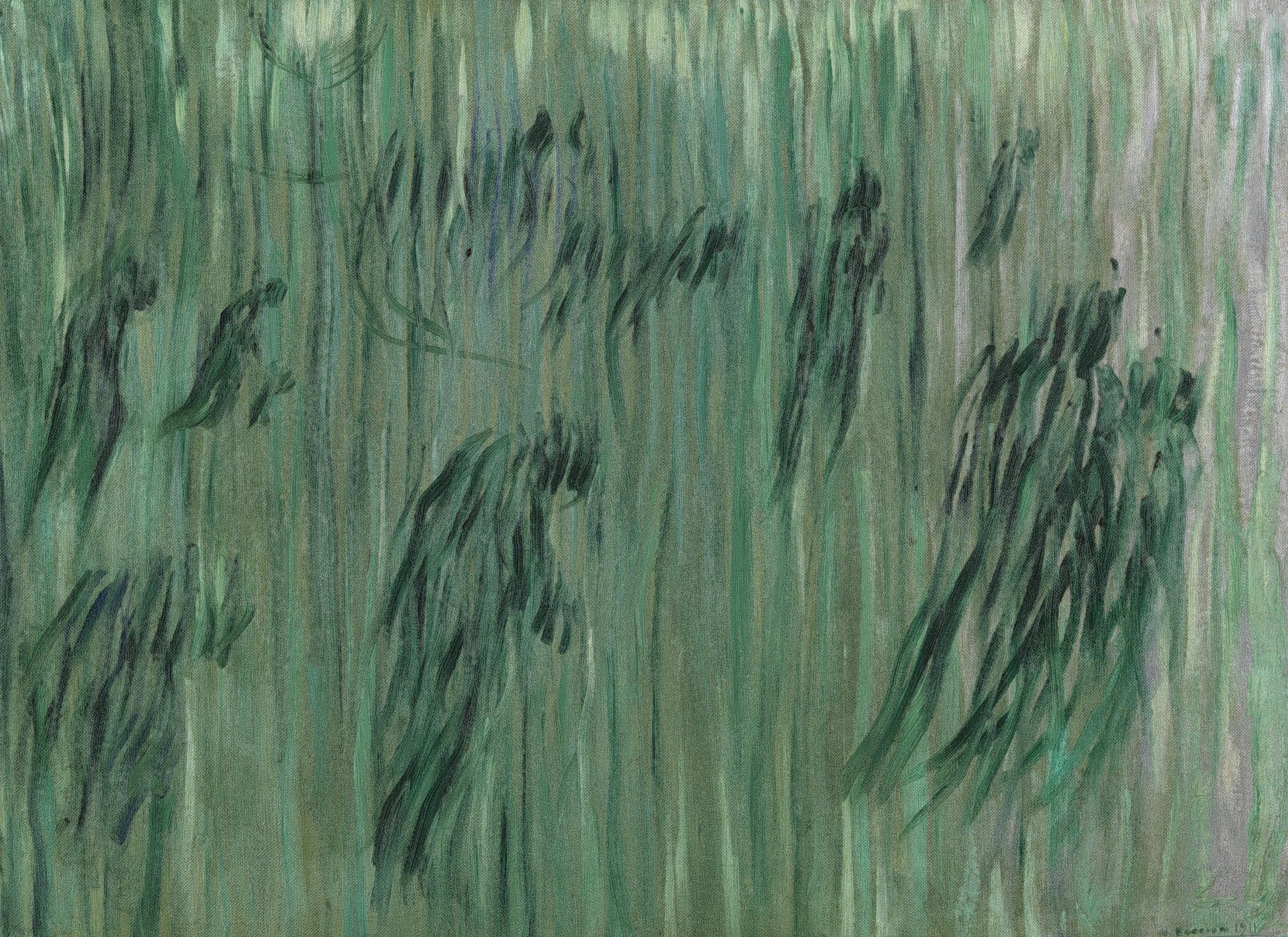 Immagine 2026-07-15 083840.png